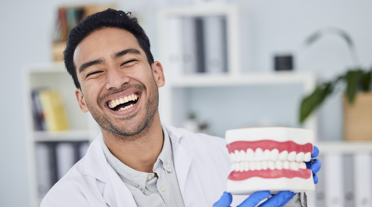 Dentist holding a dental model in a bright practice